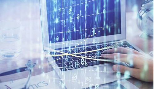 計算機信息技術(shù)證辦理所需資料與考試內(nèi)容詳解